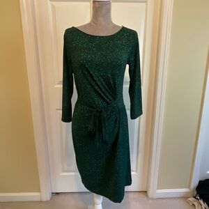 Ann Taylor Cheetah Print Green Dress